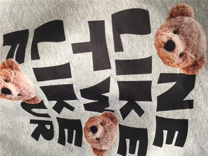 小熊变色卫衣图片