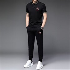 短袖男夏季t恤套装休闲运动半袖衣服男装潮流T恤卫衣冰丝，男装休闲套装，电商B212（原钱塘6029）