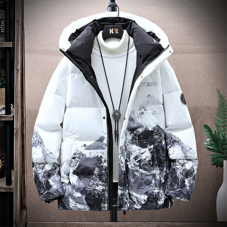 现货 外贸侧飞图立领光板团体服班服宽松韩版情侣学生外套羽绒服图片