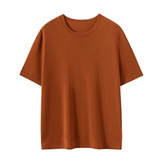 2025年秋季圆领短袖时尚百搭休闲通勤，男装羊绒套衫，朝思纯山羊绒