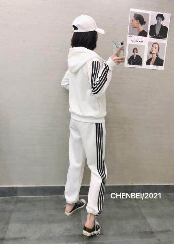 晨贝3色套装，女装职业装，晨贝