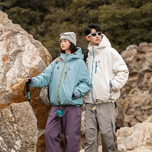 311B-1-YZ-9233-P195控339大码潮牌提花情侣百搭立领羽绒服图片