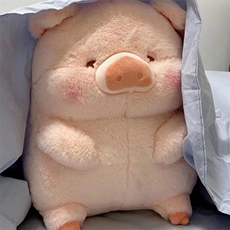 欣妍毛绒玩具 LULU猪