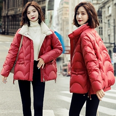 现货冬装2026年立领亮面肌理感工艺面料拼接90白鸭绒羽绒服,女装羽绒服,天丽,其他 现货冬装2026年立领亮面肌理感工艺面料拼接90白鸭绒羽绒服,女装羽绒服,天丽,其他