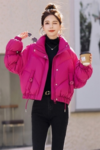 现货！！2024新款羽绒服女白鸭绒加厚保暖小个子洋气外套纯色时尚图片