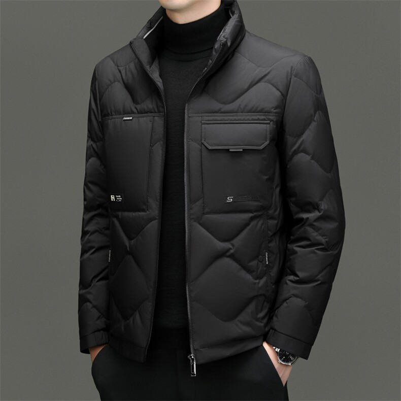 DF23163钱塘2020-2新款冬季时尚百搭立领简约中年男士羽绒服P243,男装羽绒服,钱塘207-2