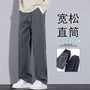 2025新款秋天裤子男款简约直筒裤潮帅气休闲裤长裤百搭K6661-P50图片