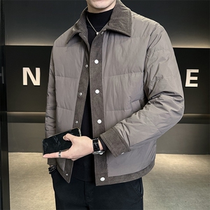 新标90白鸭绒轻薄款男装羽绒服新款冬季外套C317-88015-P235图片