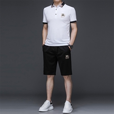 运动套装男夏季新款时尚韩流帅气短袖T恤男装绣花冰丝跑步三件套，男装休闲套装，电商B212（原钱塘6029）