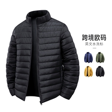 2025新款冬季轻薄棉衣外套男款百搭潮流保暖立领棉服KJ6667-特P45，男装棉衣，星座610（原A335）