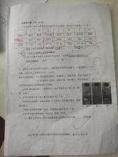 夏季新品短裤，女装，雪儿诱惑