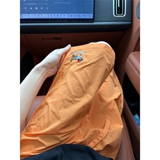 腊肠小狗刺绣短裤男夏季薄款冰丝速干沙滩五分裤直筒宽松休闲D823，男装牛仔裤，星座1116A（原606A-3）