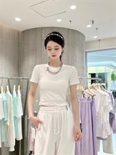 现货 链条T,其它,DS-1