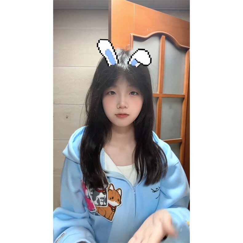 WE1742-P55美式刺绣小猫魔术贴连帽开衫卫衣,男装卫衣,电商B323A