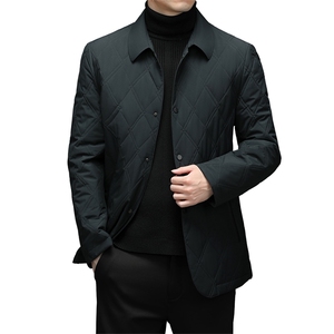 冬季外套男棉衣中年商务翻领棉服休闲上衣爸爸装棉袄A9601-P165图片