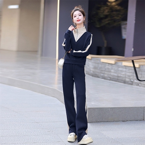 春秋新款时尚气质假两件套女立领卫衣修身显瘦侧条纹休闲运动套装图片