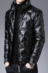 XS91072冬季男士羽绒服外套男装常规立领修身白鸭绒潮流帅气P195图片