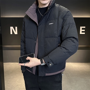 标50白鸭绒轻薄款男装羽绒服2025新款冬季外套C317-Y8566-P175图片