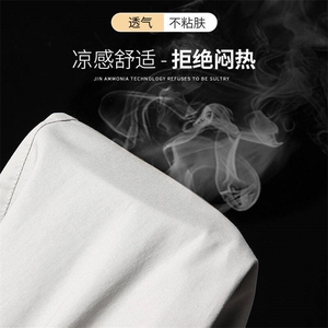 春秋季休闲裤男士厚款宽松直筒商务免烫冬款男士长裤子-831p50图片