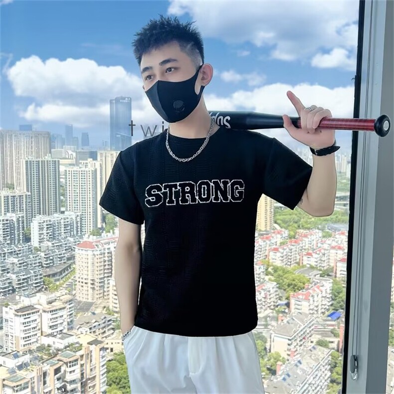 短袖t恤男士夏季高级感半袖体恤圆领刺绣半袖衫修身上衣 T218图片