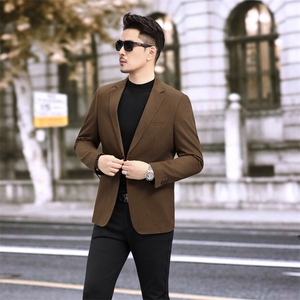 新款秋冬新款西服休闲复古天丝棉西装男2501P165图片