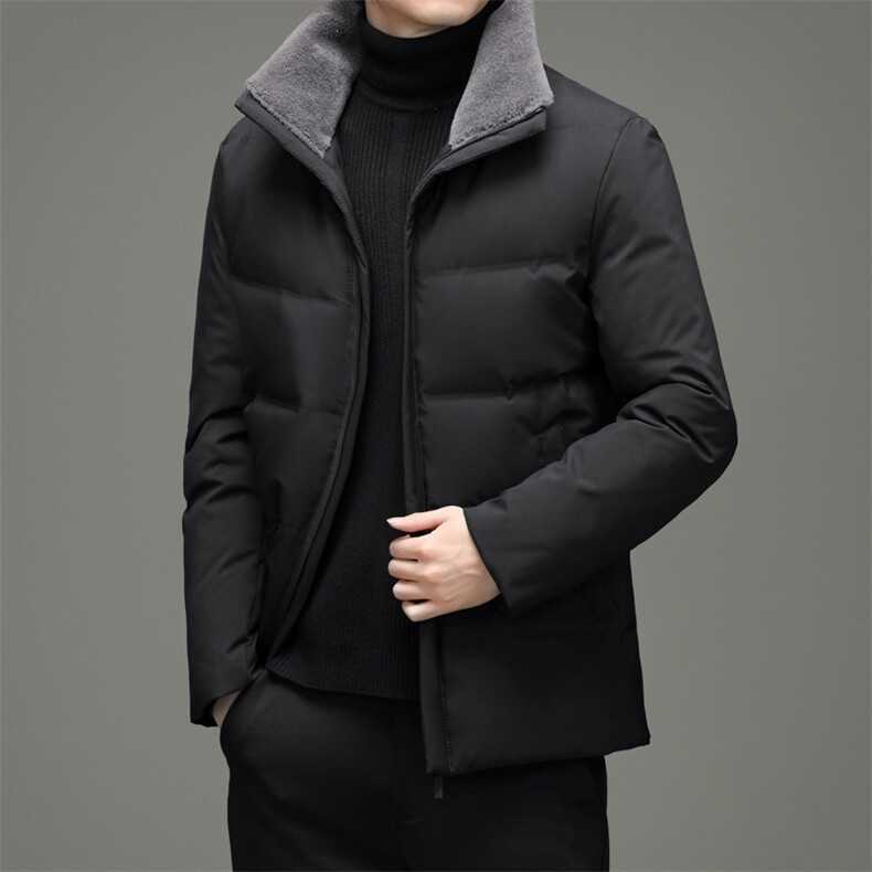 BHYL959钱塘2020-2中年男士商务休闲简约立领保暖冬季羽绒服P195,男装羽绒服,钱塘207-2