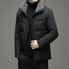 BHYL959钱塘2020-2中年男士商务休闲简约立领保暖冬季羽绒服P195，男装羽绒服，钱塘207-2