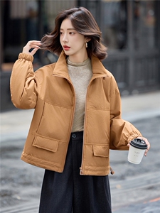 咖色立领夹棉服女短款厚外套秋冬2025新款休闲二棉衣小个子棉袄图片