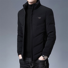 2024年新款羽绒服P265，男装羽绒服，电商D223-1