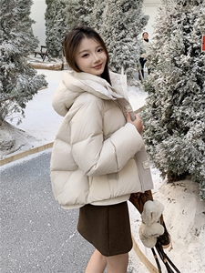 现货新款2178-P275-K399羽绒服白鸭绒面包服小个子图片