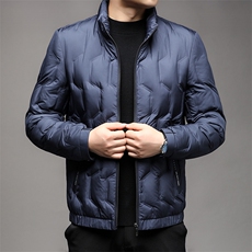 秋冬季新款羽绒服男士白鸭绒加绒潮服休闲立领潮流韩版保暖外套，男装羽绒服，钱塘6003（原4033）