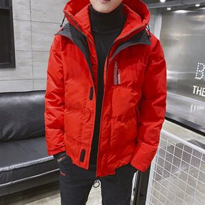 工装棉衣男 韩版潮流连帽棉服棉袄帅气冬季短款外套DS310T图片