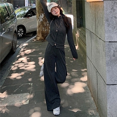 韩版休闲运动套装秋季新款女修身立领卫衣直筒长裤两件套洋气减龄，女装套装/套裙，江南