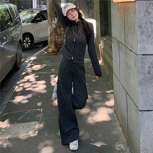 韩版休闲运动套装秋季新款女修身立领卫衣直筒长裤两件套洋气减龄图片
