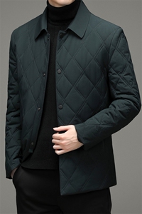 2023冬季新款棉衣男宽松冬装中年男士休闲翻领棉服YYM9602-P195图片