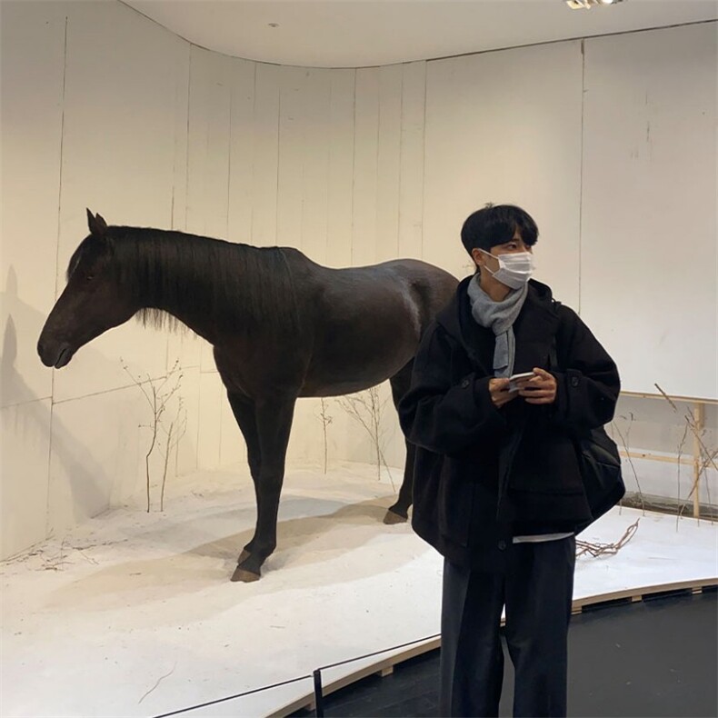 816B-DY1019-P120韩短款休闲呢子大衣外套，男装毛呢大衣，星座816B