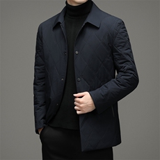 冬季外套男棉衣中年商务翻领棉服休闲上衣爸爸装棉袄A9601-P165，男装棉衣，电商B212（原钱塘6029）