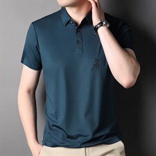 短袖男夏季新款上衣短袖中青年男士体恤衫T恤商务休闲翻领短袖男，男装T恤，电商B212（原钱塘6029）