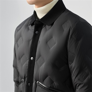 2025冬季新款男士翻领羽绒服50绒子白鸭绒时尚商务休闲羽绒服外套图片