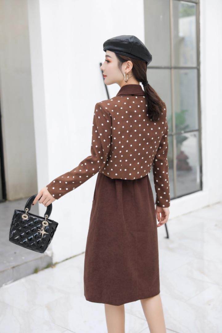 两件套连衣裙黑色咖啡色m一XXL，女装连衣裙，圣姿源