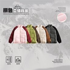 2025冬款立领印花棉服--8020模特图，男装棉衣，电商S012（CATTEE）