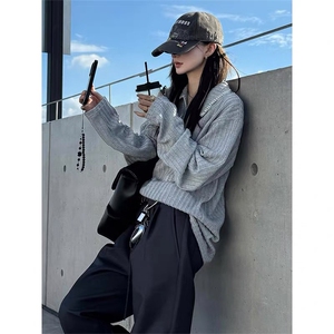 【网图】手缝线麦穗纹Polo卫衣男秋季美式老钱风长袖T恤TX223-P30图片