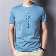 短袖T恤男夏季薄款Polo领衫2023新款商务休闲男装百搭半截袖男t恤，男装T恤，电商B212（原钱塘6029）
