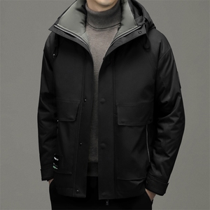 DF6850钱塘2020-2中年男士冬季厚款商务休闲连帽羽绒服P290图片