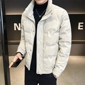 DS-A225-8707新标三防面料男士立领免洗潮流时尚休闲鸭绒羽绒服图片