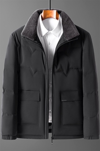爸爸冬装外套男新款加厚保暖羽绒服中老年人宽松男装Q72166-P285图片