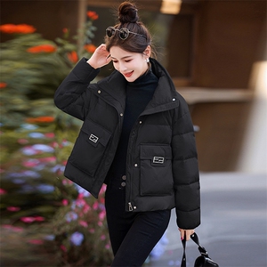 2024秋冬新款时尚洋气立领百搭拼接御寒短款白鸭绒羽绒服女图片