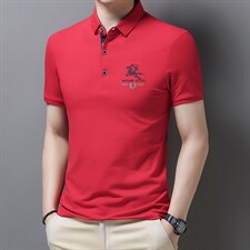 夏季新款翻领短袖体恤男装上衣休闲男士运动服POLO衫商务休闲上衣，男装T恤，电商B212（原钱塘6029）
