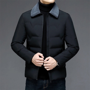 AC6688钱塘2020-3冬季羽绒服白鸭绒防寒保暖外套男加厚P195图片