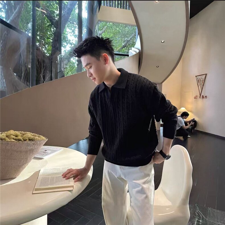 网图慎用海鸥领D1201降P75男麻花毛衣针织衫老钱风男装，男装针织衫/毛衣，电商B216（原B302）